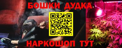 Альфа ПВП Кандалакша