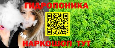 Альфа ПВП Ипатово