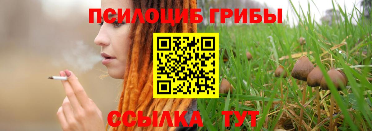 Галлюциногенные грибы мухоморы  Вход с VPN  Луга 
