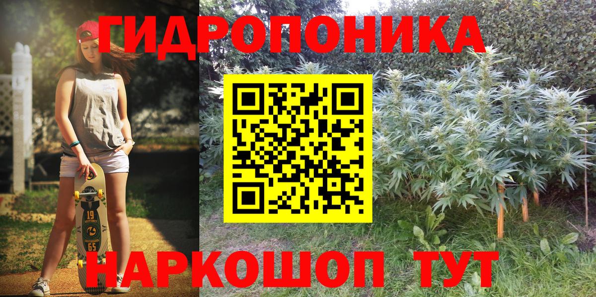 Шишки марихуана марихуана Луга